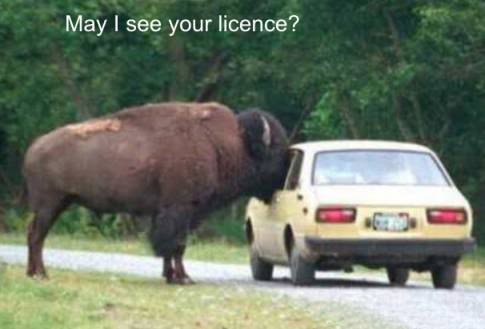 May I have your licence?
